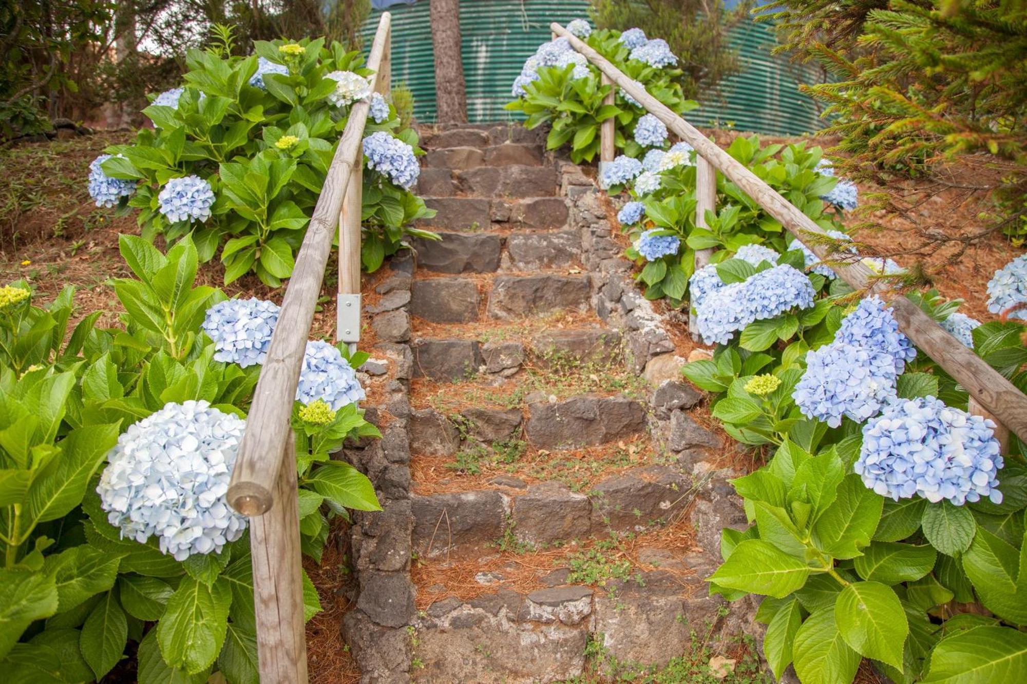 Quinta Do Santo By Lovelystay Santo Antonio da Serra Eksteriør bilde